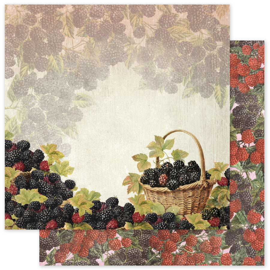 Meadowbrook Farm Basics F 12 x 12 Paper (12 pc Bulk Pack) 35061