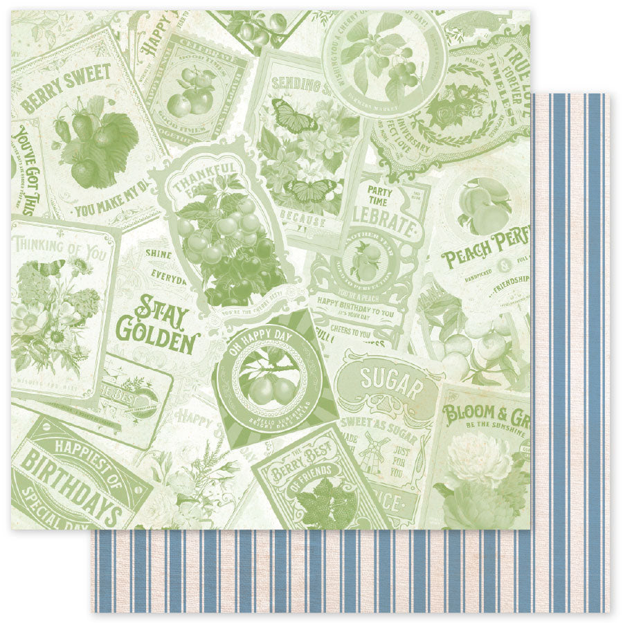 Meadowbrook Farm Patterns E 12 x 12 Paper (12 pc Bulk Pack) 35103