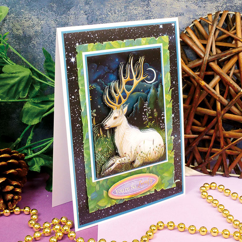 Midnight Forest Pocket Pad