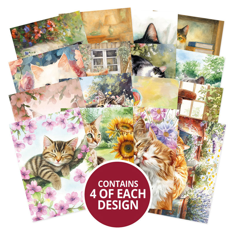 Feline Fabulous Pocket Pad