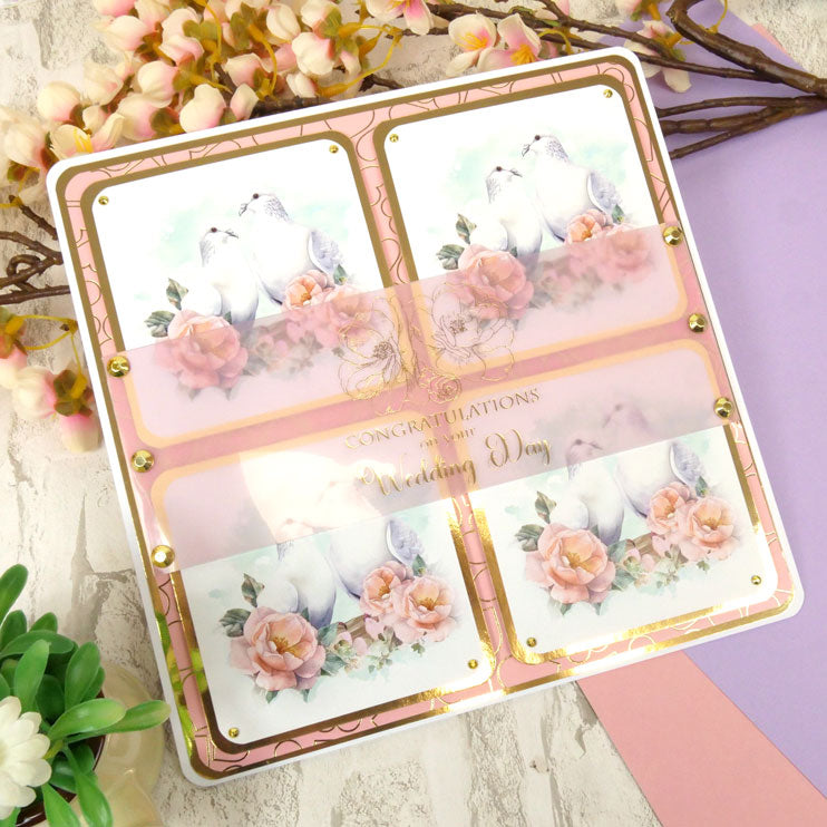 Birds in Focus Pocket Pad