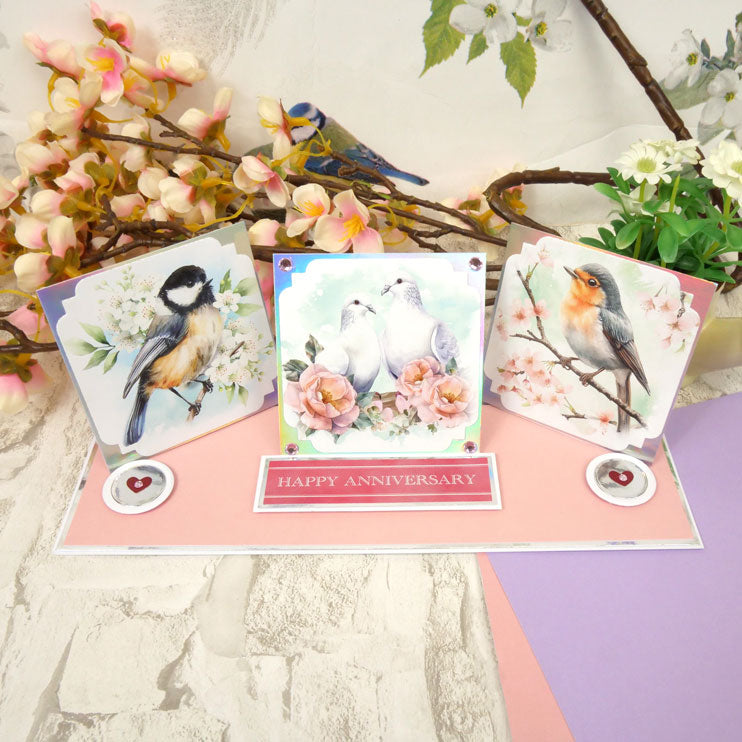 Birds in Focus Pocket Pad