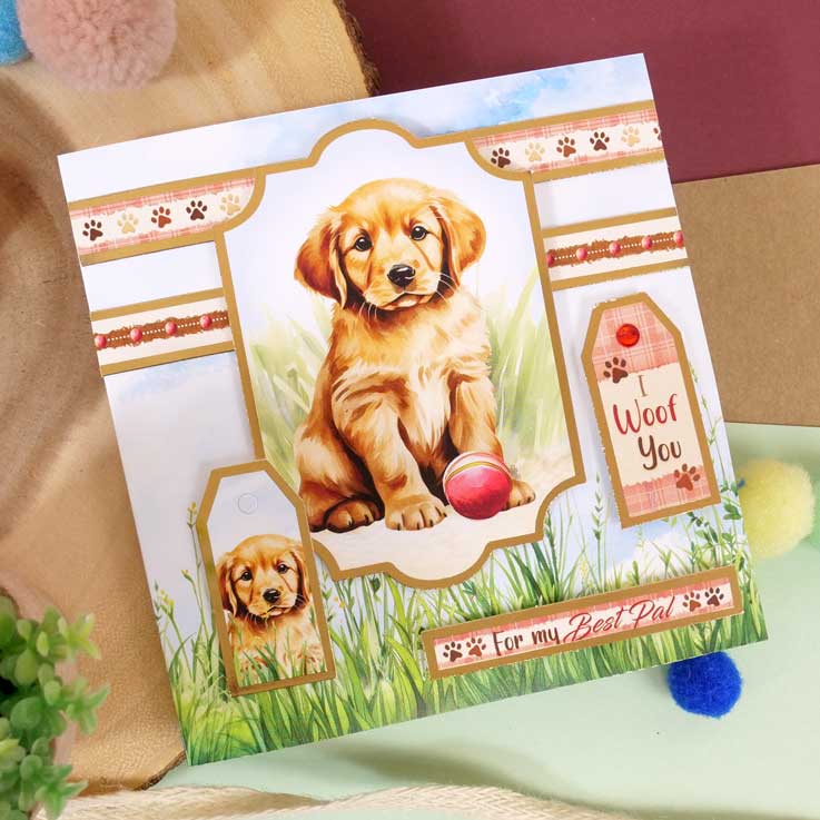 Quick Cards - Perfect Pets