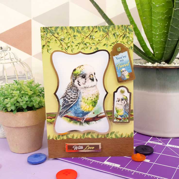 Quick Cards - Perfect Pets