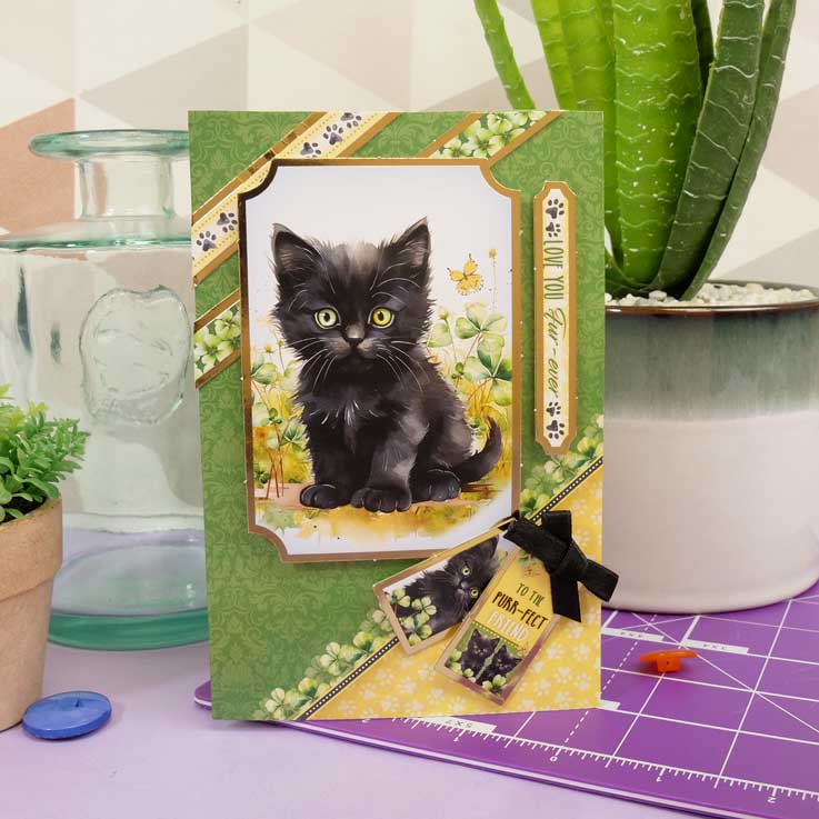 Quick Cards - Perfect Pets