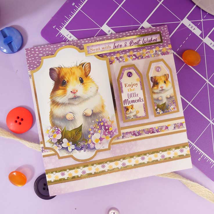 Quick Cards - Perfect Pets