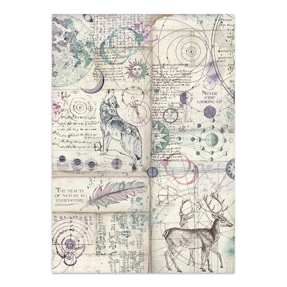Printed Art Junk Journal Focus Points For Art And Craft A5 - Cosmos