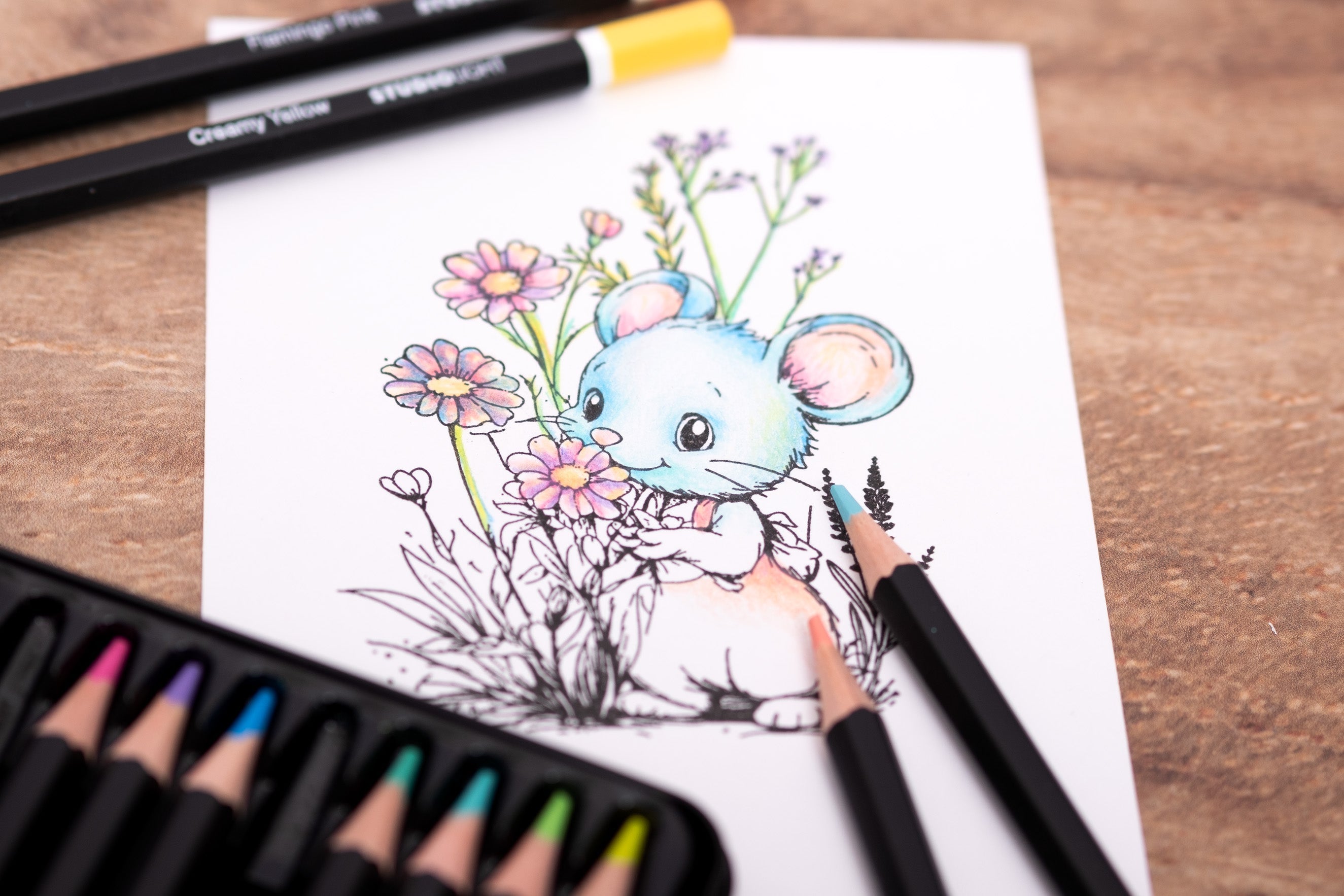 SL Pencils 12 Colors In Pastel Shades Essentials 12 Pieces