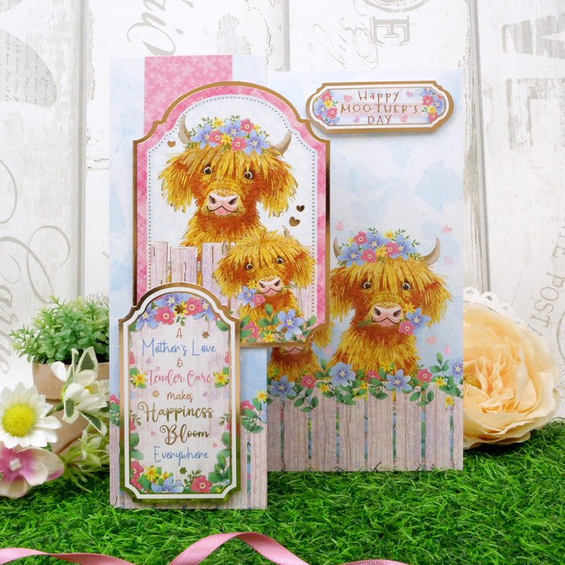 Special Days Luxury Topper Collection