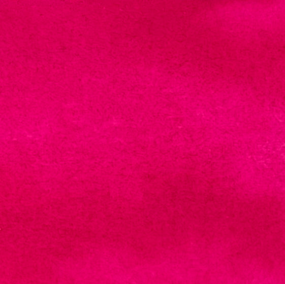 Everlasting Brights by Cat Kerr Flat Shaker 5-pack