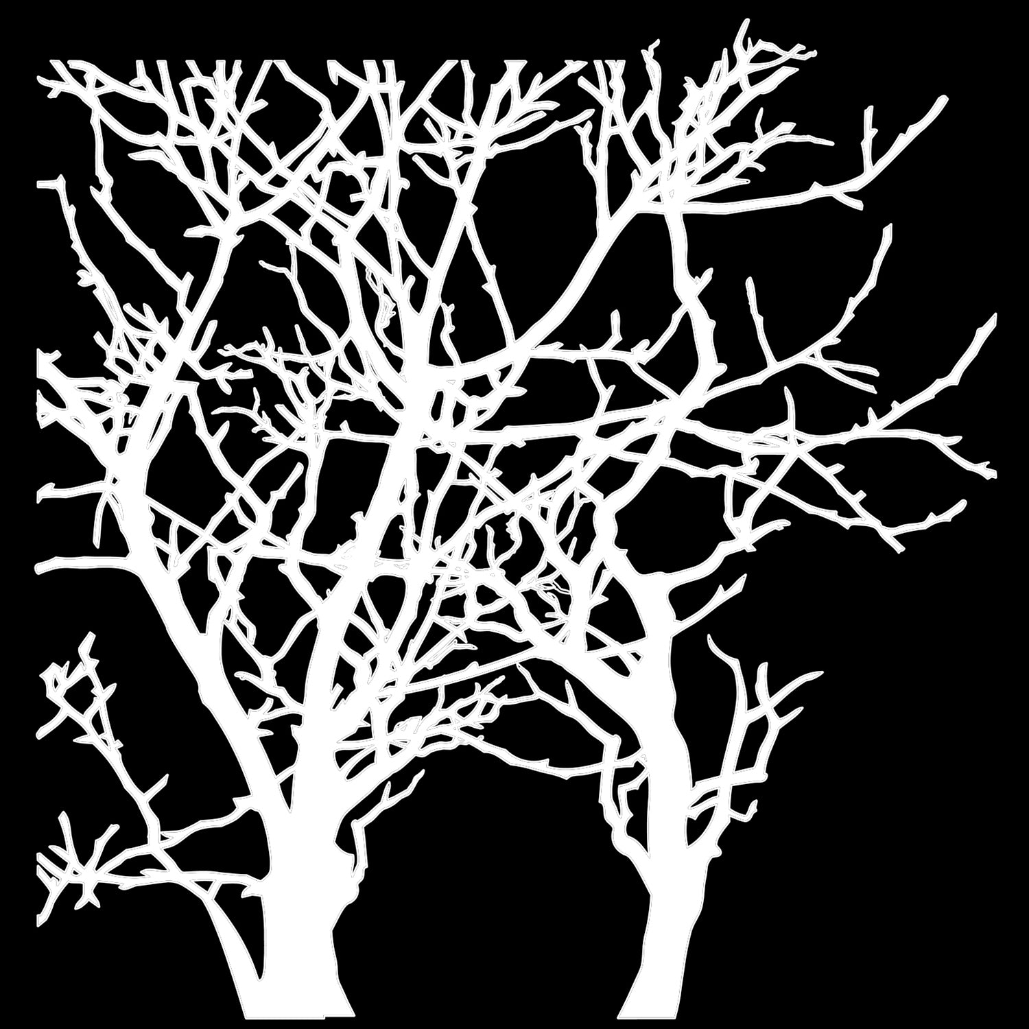 The Crafters Workshop 6x6 Stencil Branches