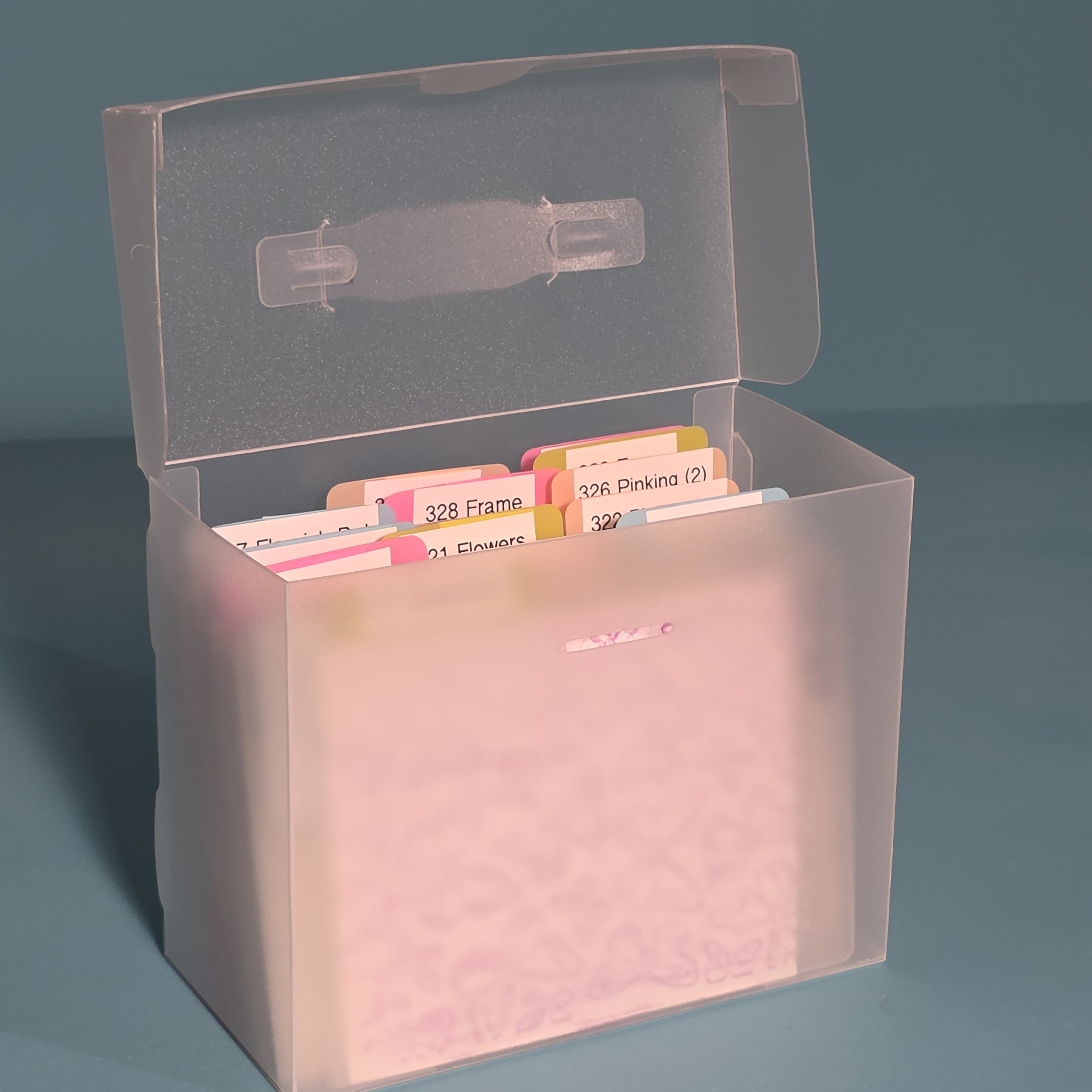 The Organized Option 4x6 File Master Storage Box with 5 Pockets