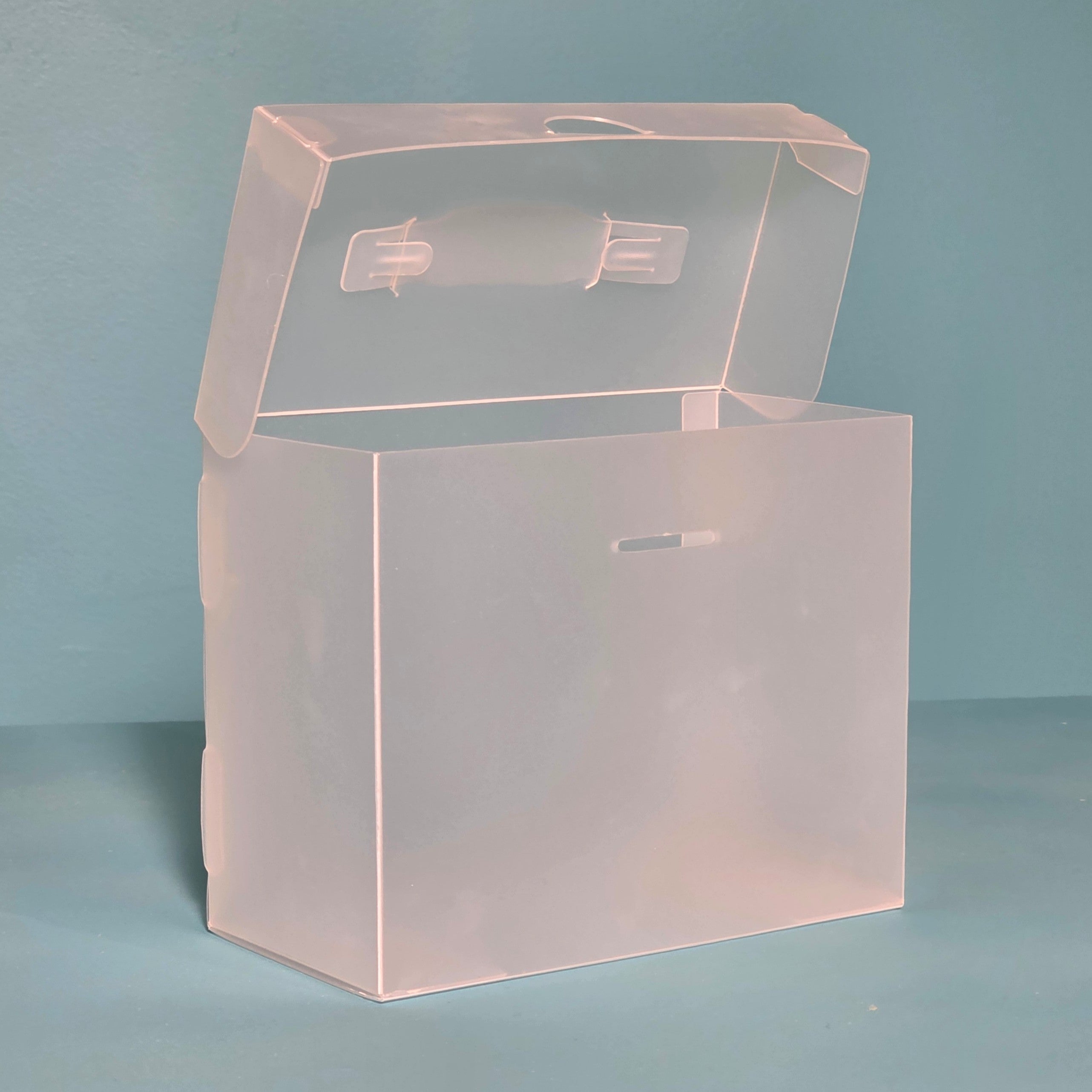 The Organized Option 4x6 File Master Storage Box with 5 Pockets