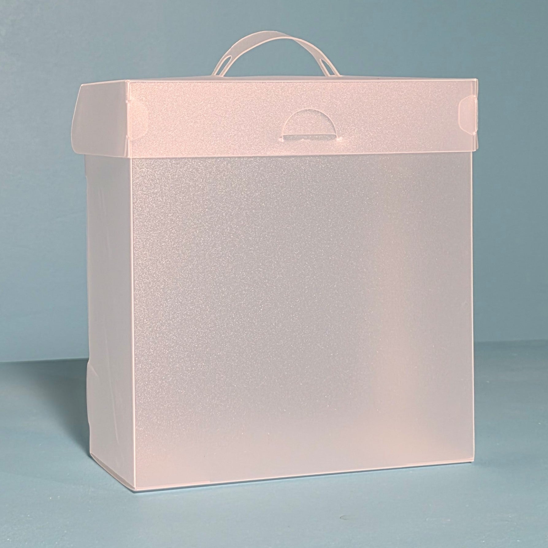 The Organized Option 6x6 File Master Storage Box with 5 Pockets