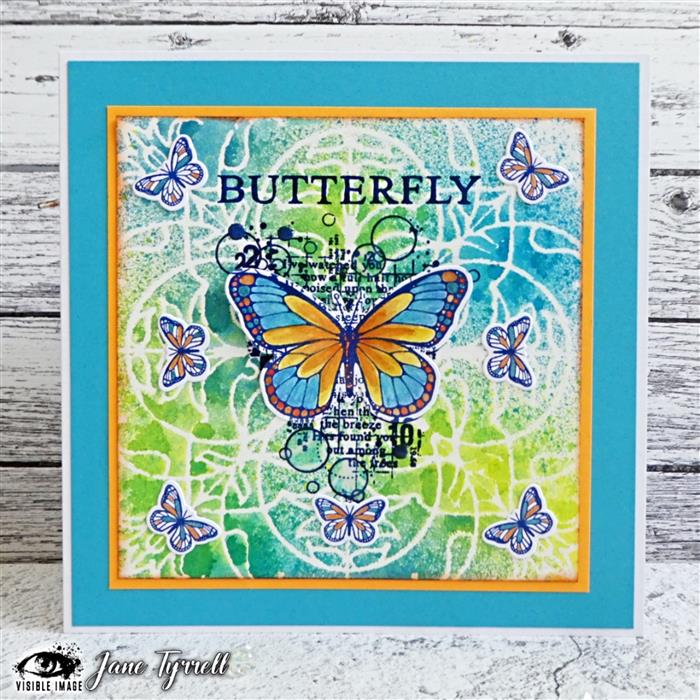 Visible Image Antisocial Butterfly Co-ordinating Dies