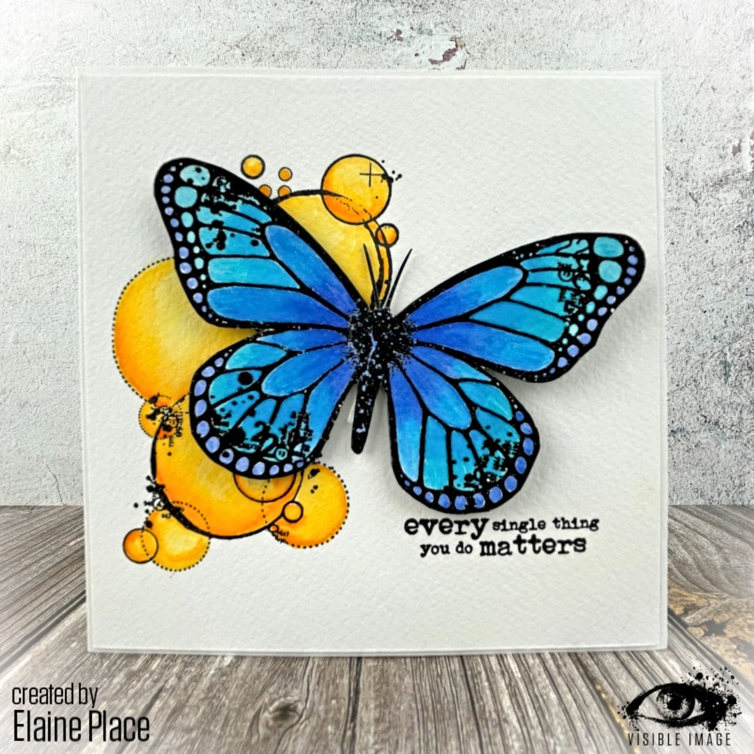 Visible Image Butterfly Effect - A5 Stamp Set