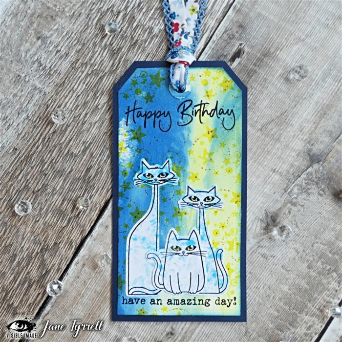 Visible Image That Lovin' Feline - A6 Stamp Set