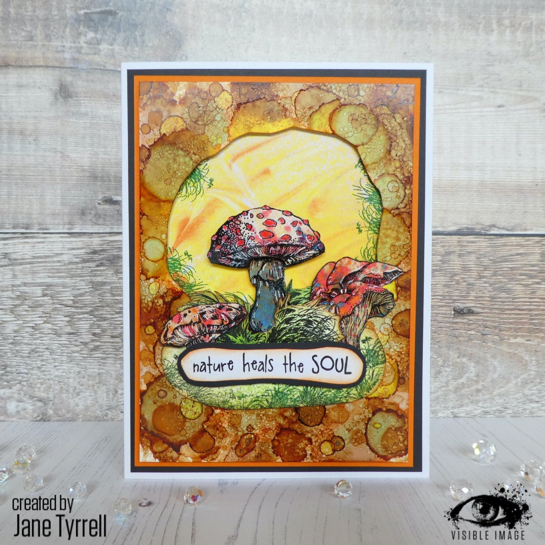 Visible Image Totally Toadstools - A6 Stamp Set