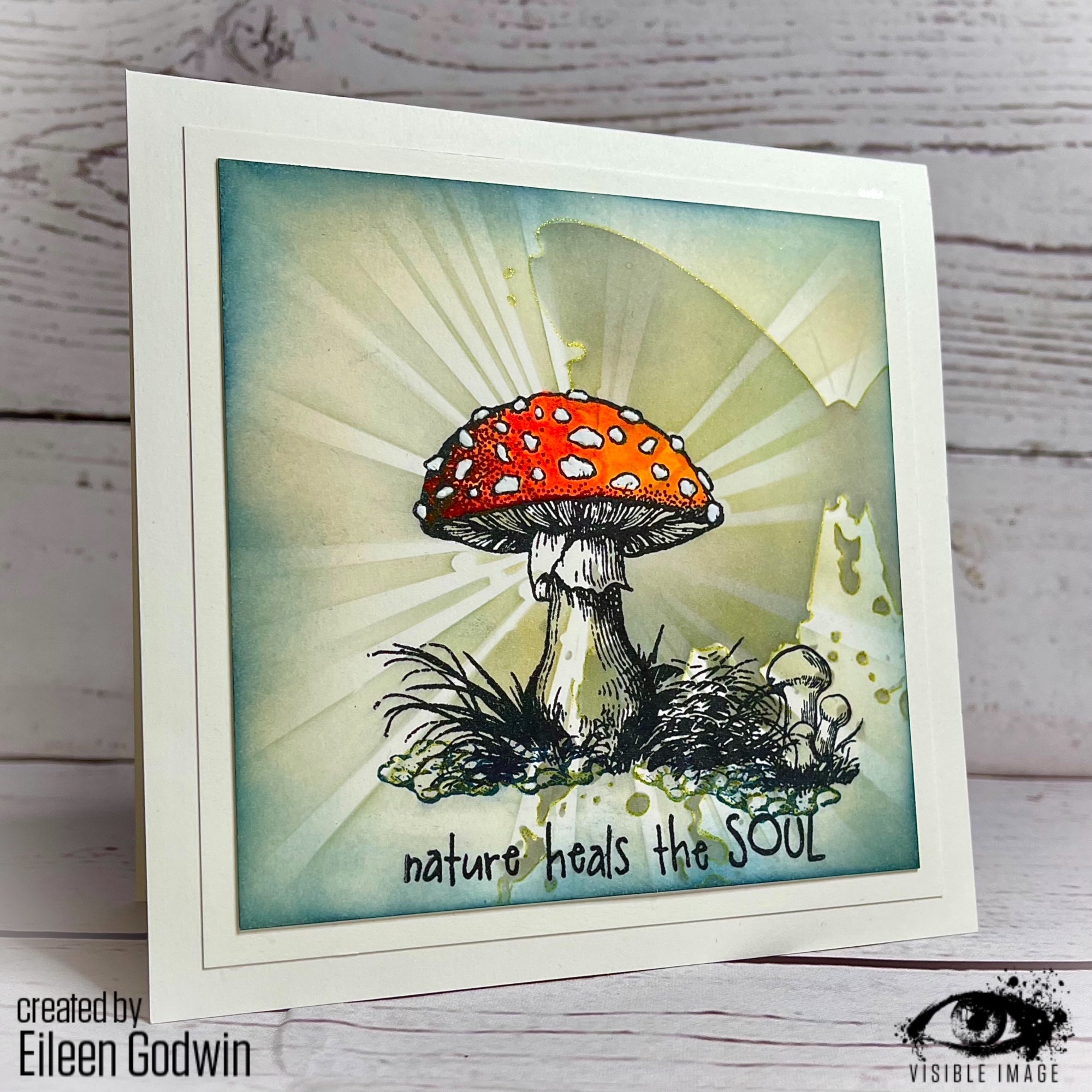 Visible Image Totally Toadstools - A6 Stamp Set