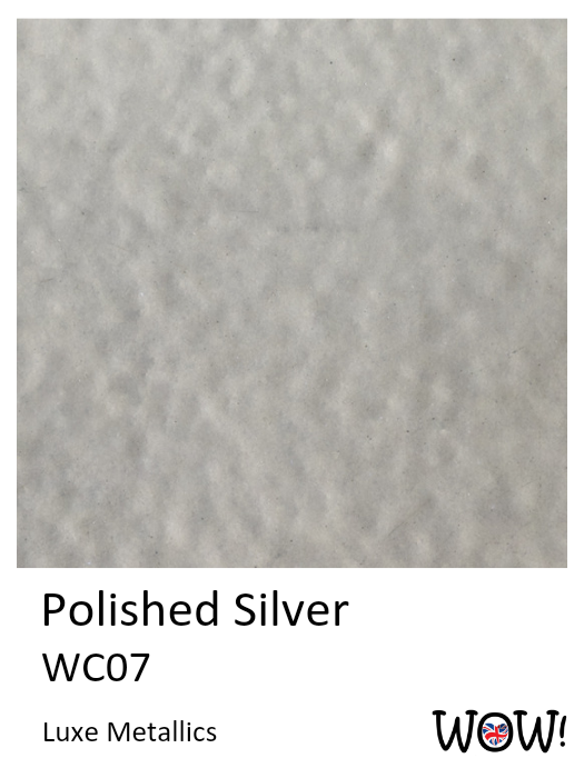 #colour_Polished Silver