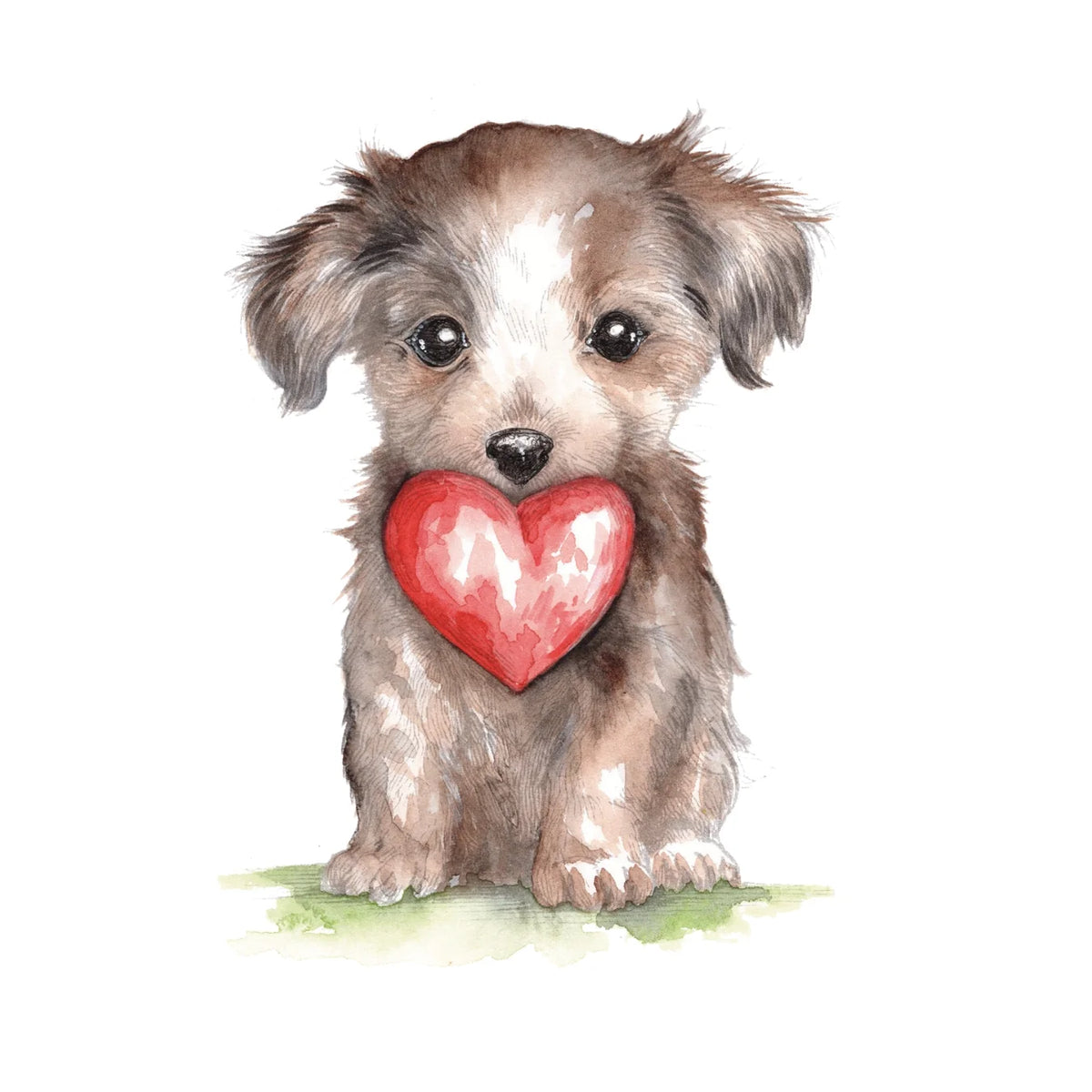 Willow Wolfe - Watercolor Workbook: So Much Love by Willow Wolfe