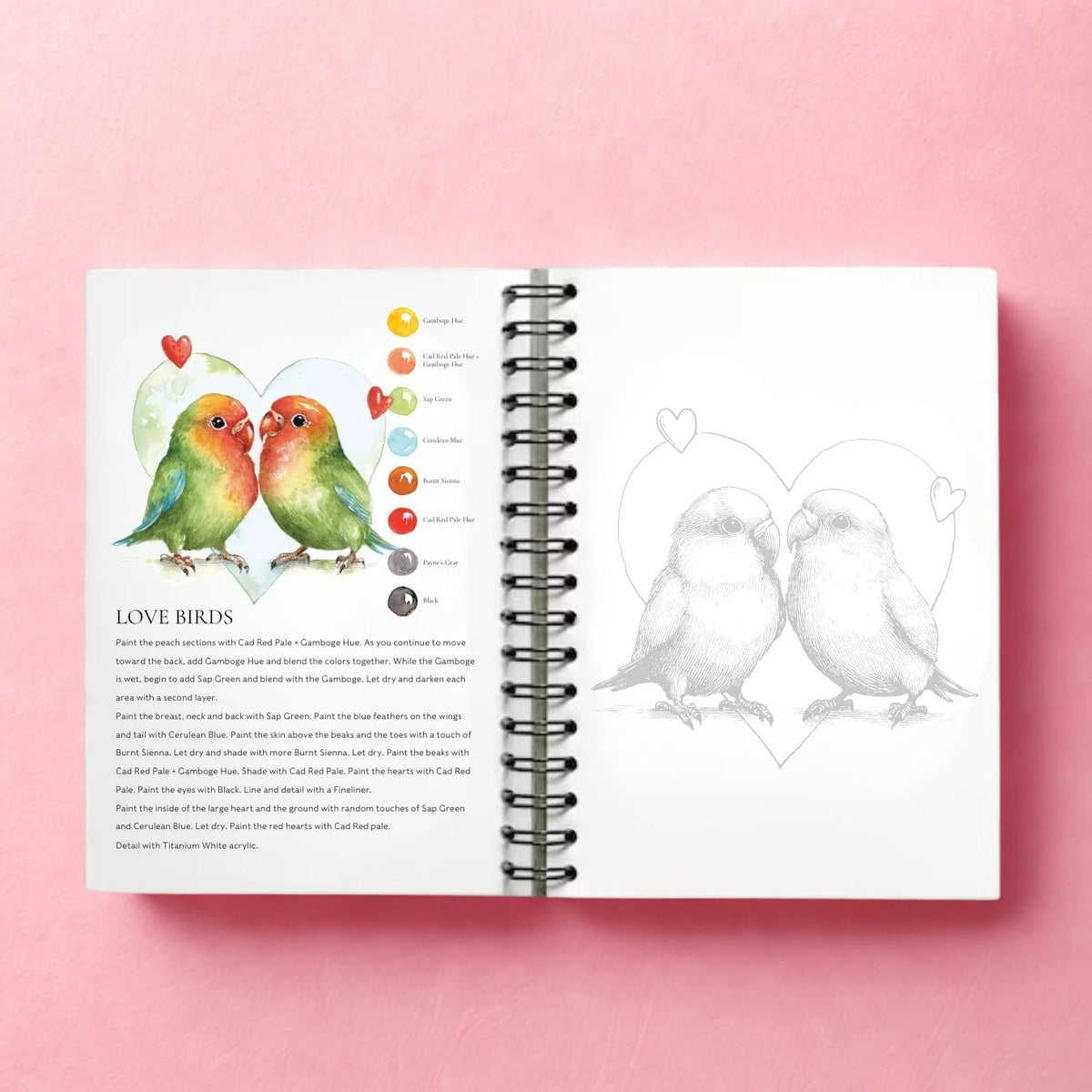 Willow Wolfe - Watercolor Workbook: So Much Love by Willow Wolfe