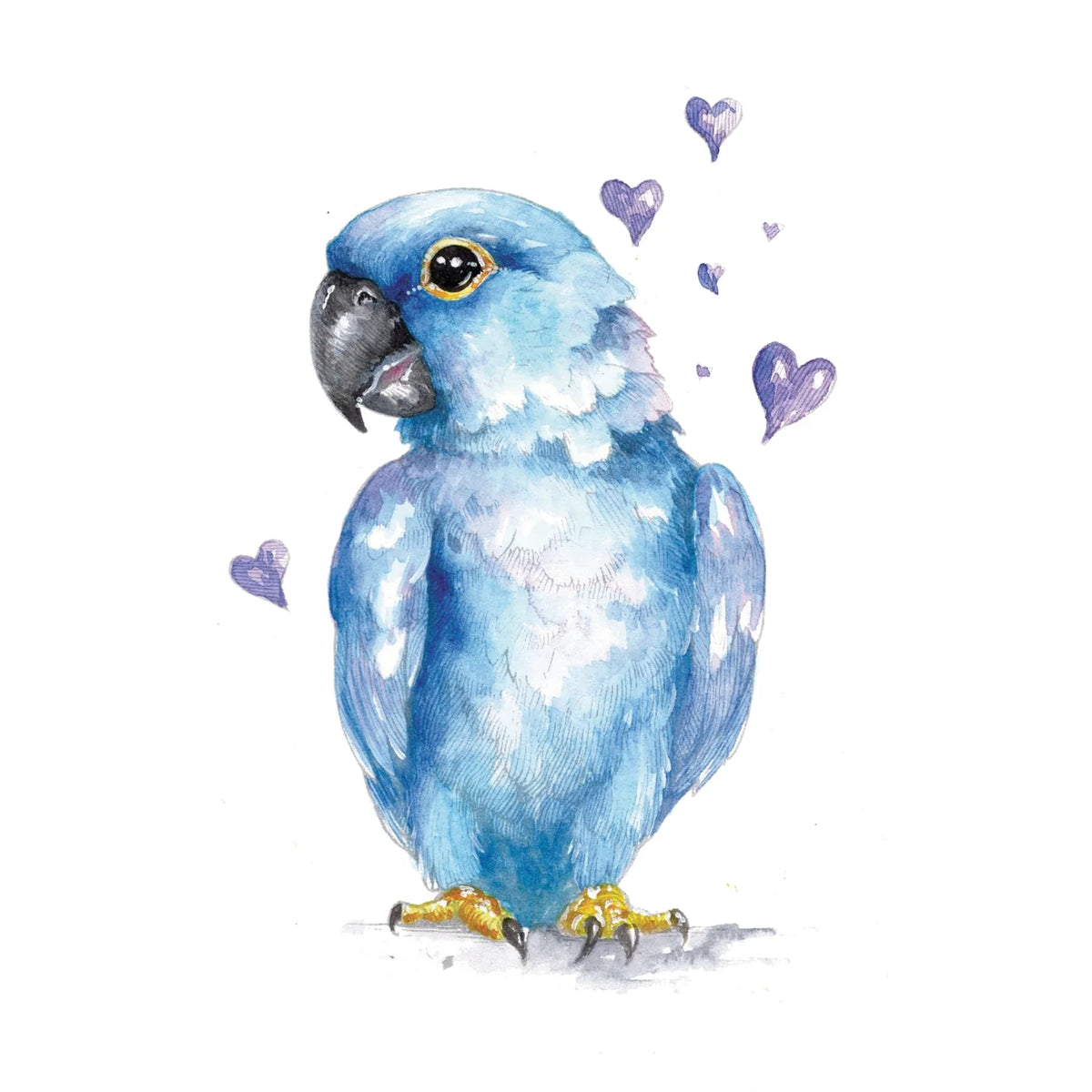 Willow Wolfe - Watercolor Workbook: So Much Love by Willow Wolfe