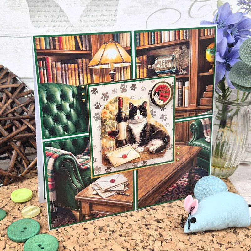 Brilliant Backgrounds - Cat Tales 8" x 8" Paper Pad