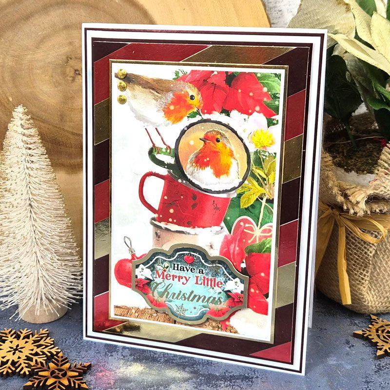 Christmas Robins Mirri Selection