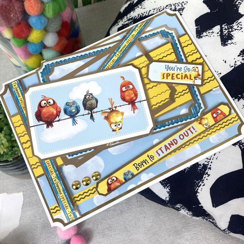 Bonkers Birds Luxury Card Topper Sheet