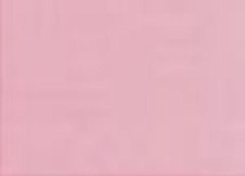 Pinta Perla Paint Skin