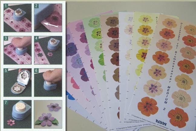 Floral Punch 5 Pedal Medium