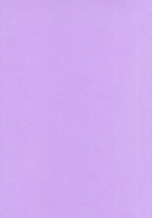 Foundation Cardstock 25 shts 220 gsm - Mauve