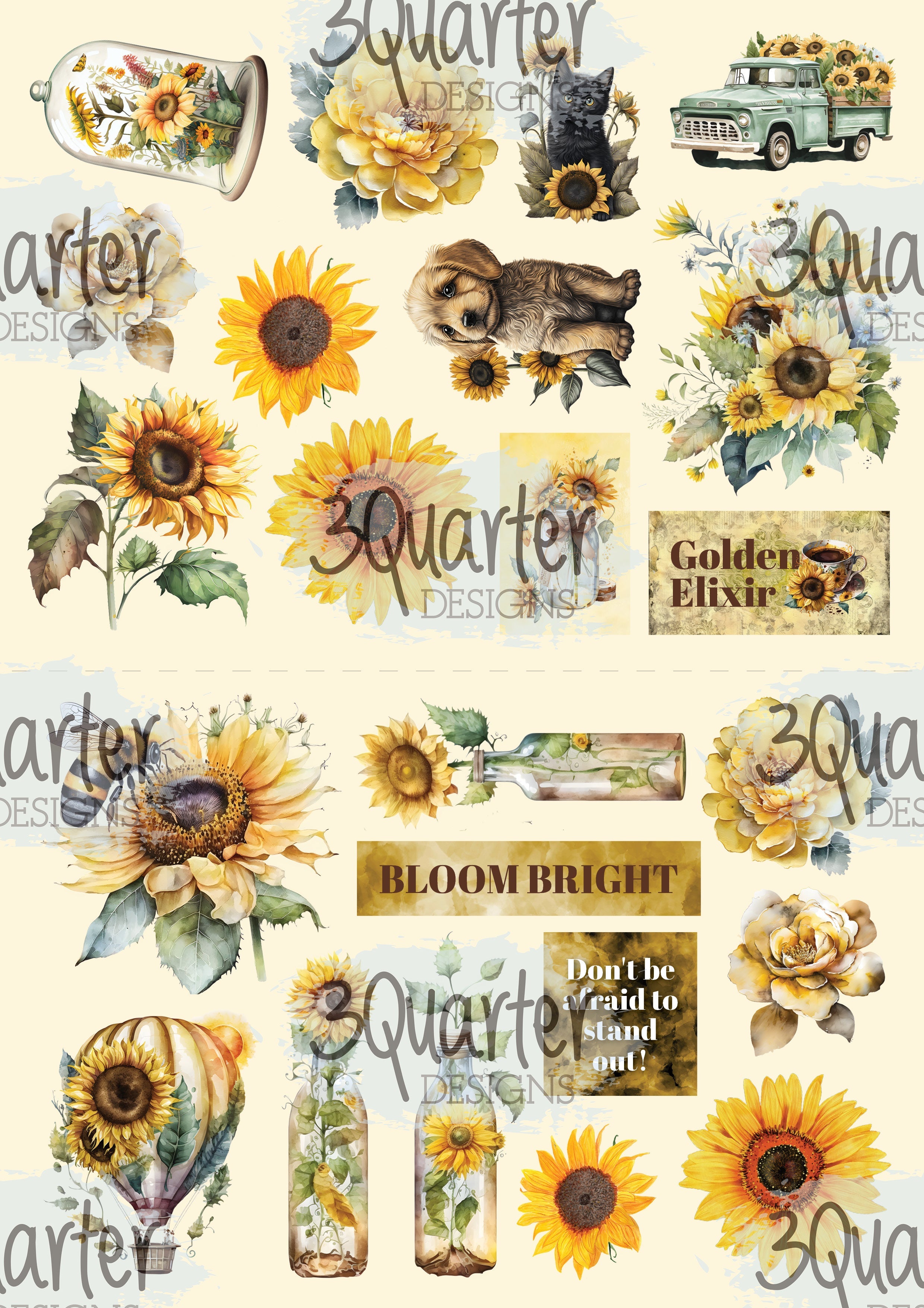 Sunflower Elixir 6x4 card pack
