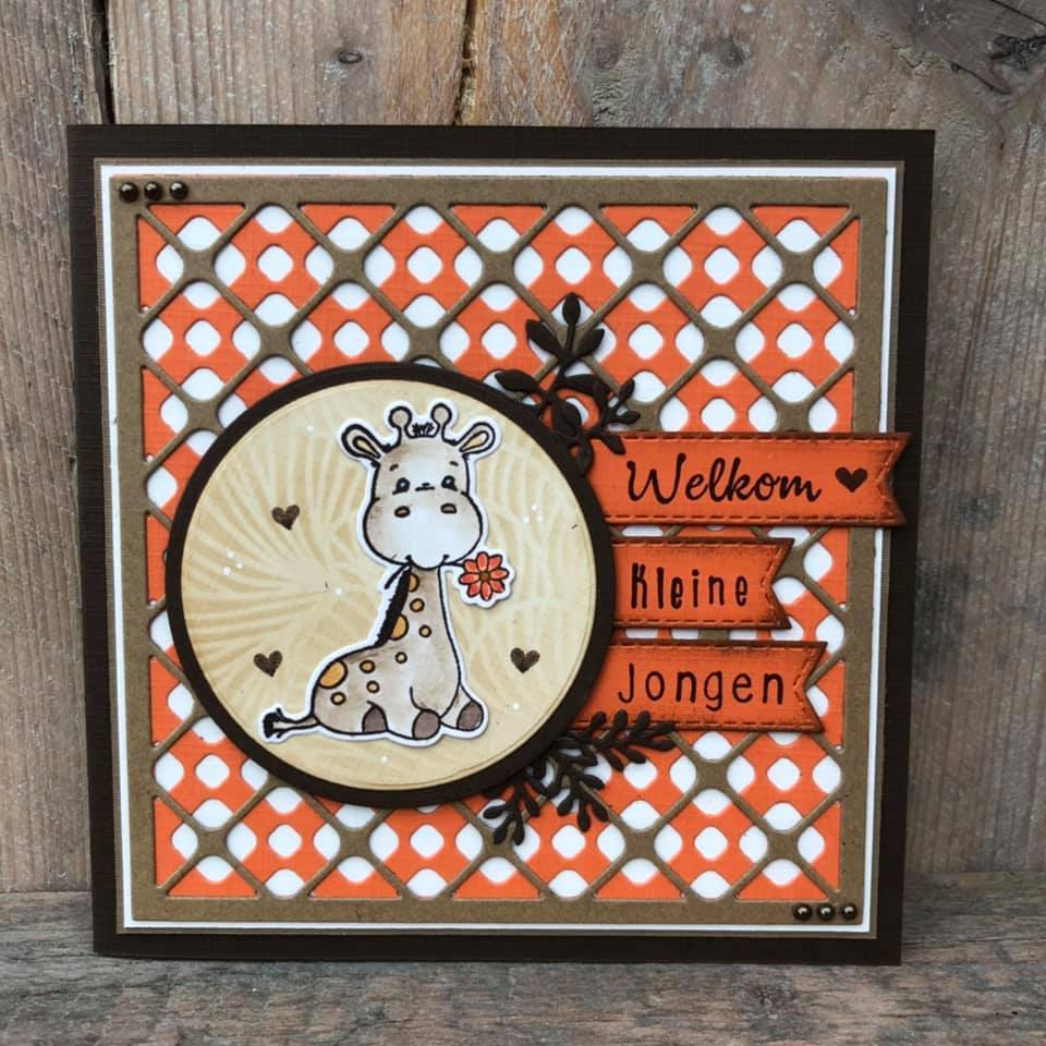 Layered Combi Dies Squares Layer B