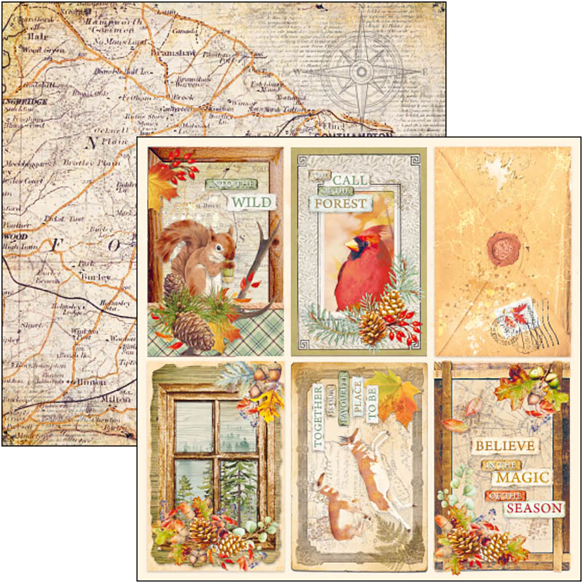 Ciao Bella Into The Wild Paper Pad 8"x8" 12/Pkg