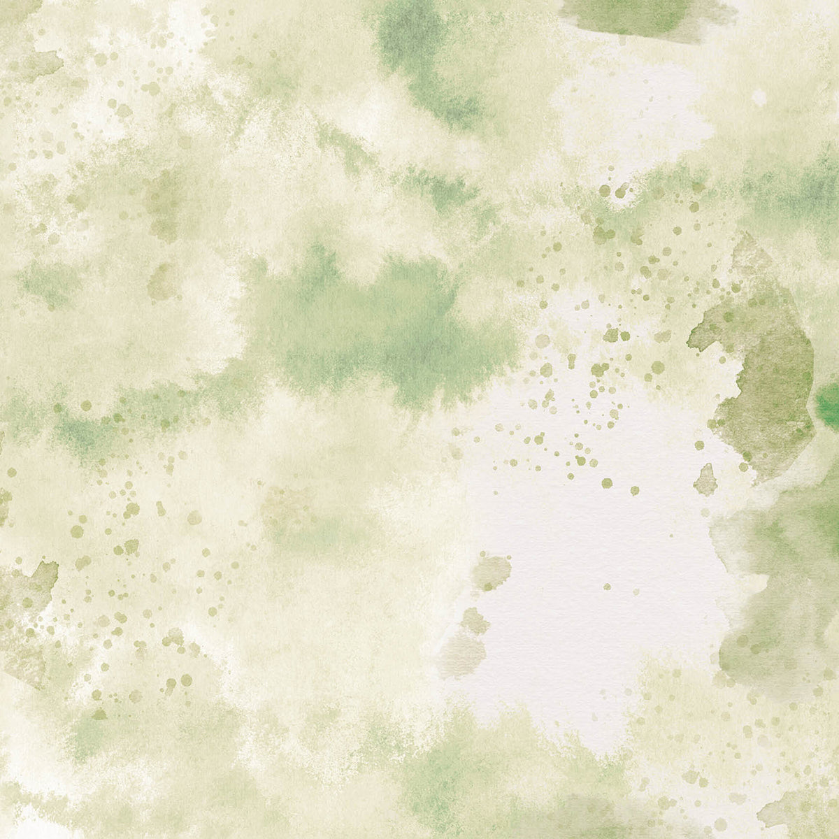 Ciao Bella Blooming 12"x12" 12/Pkg