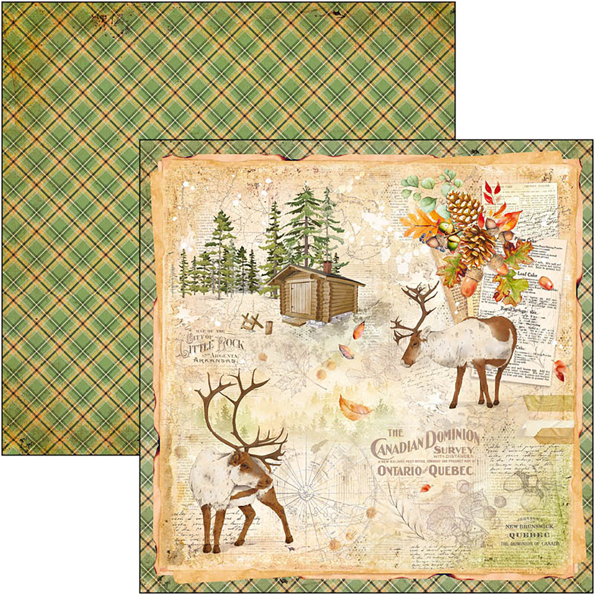 Ciao Bella Into The Wild Paper Pad 12"x12" 12/Pkg