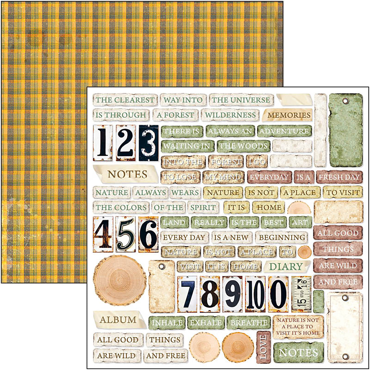 Ciao Bella Into The Wild Patterns Pad 12"x12" 8/Pkg