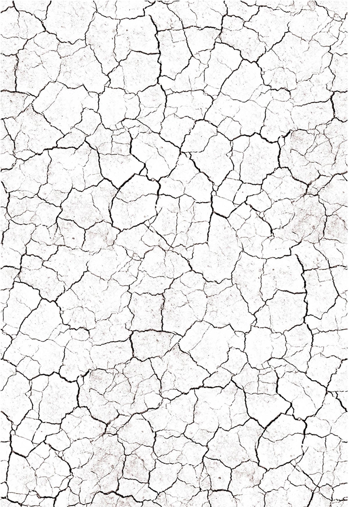 Ciao Bella Vellum Farmhouse Garden Paper Patterns A4 6/Pkg