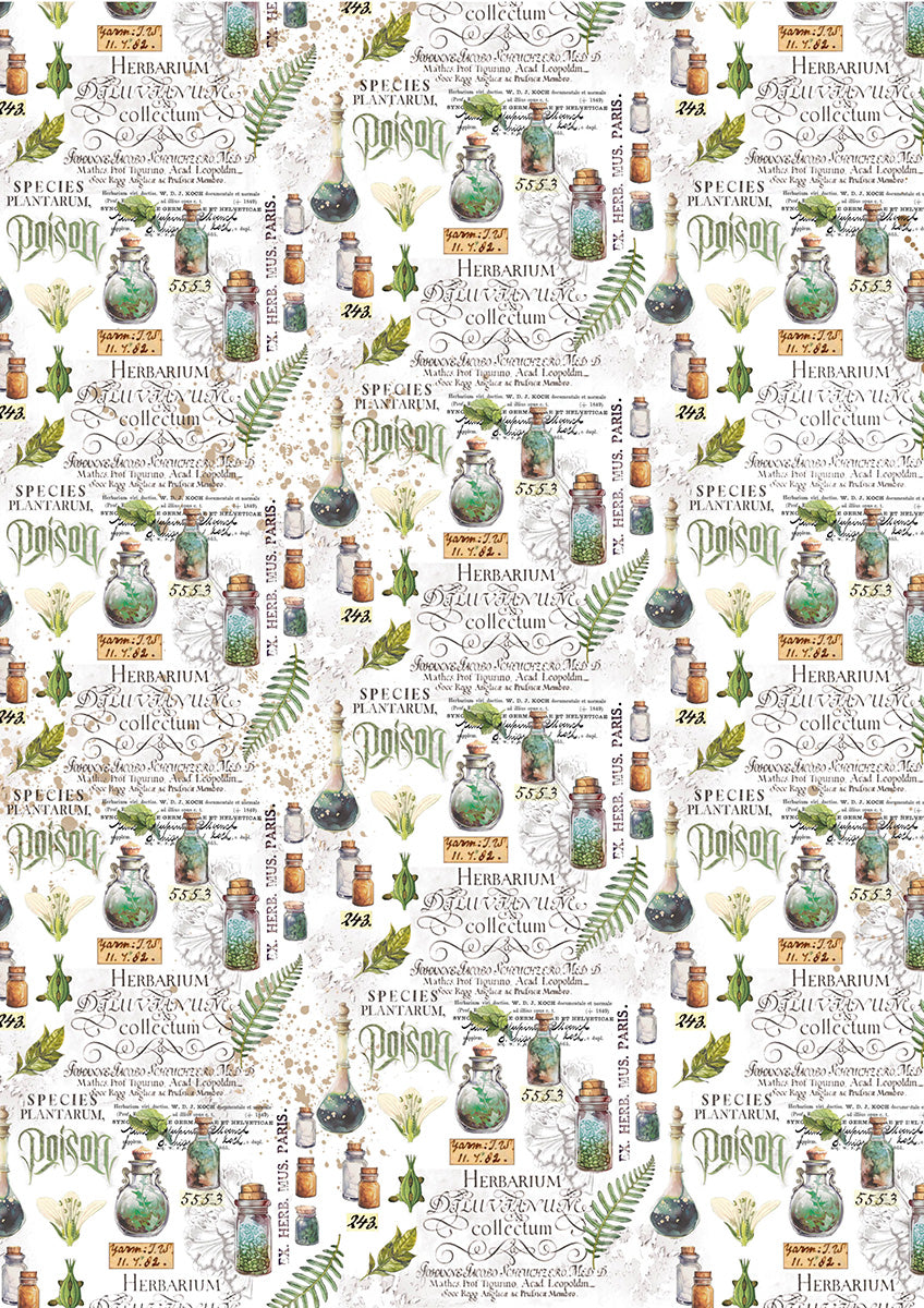 Vellum Wizard Academy Paper Patterns A4 6/Pkg