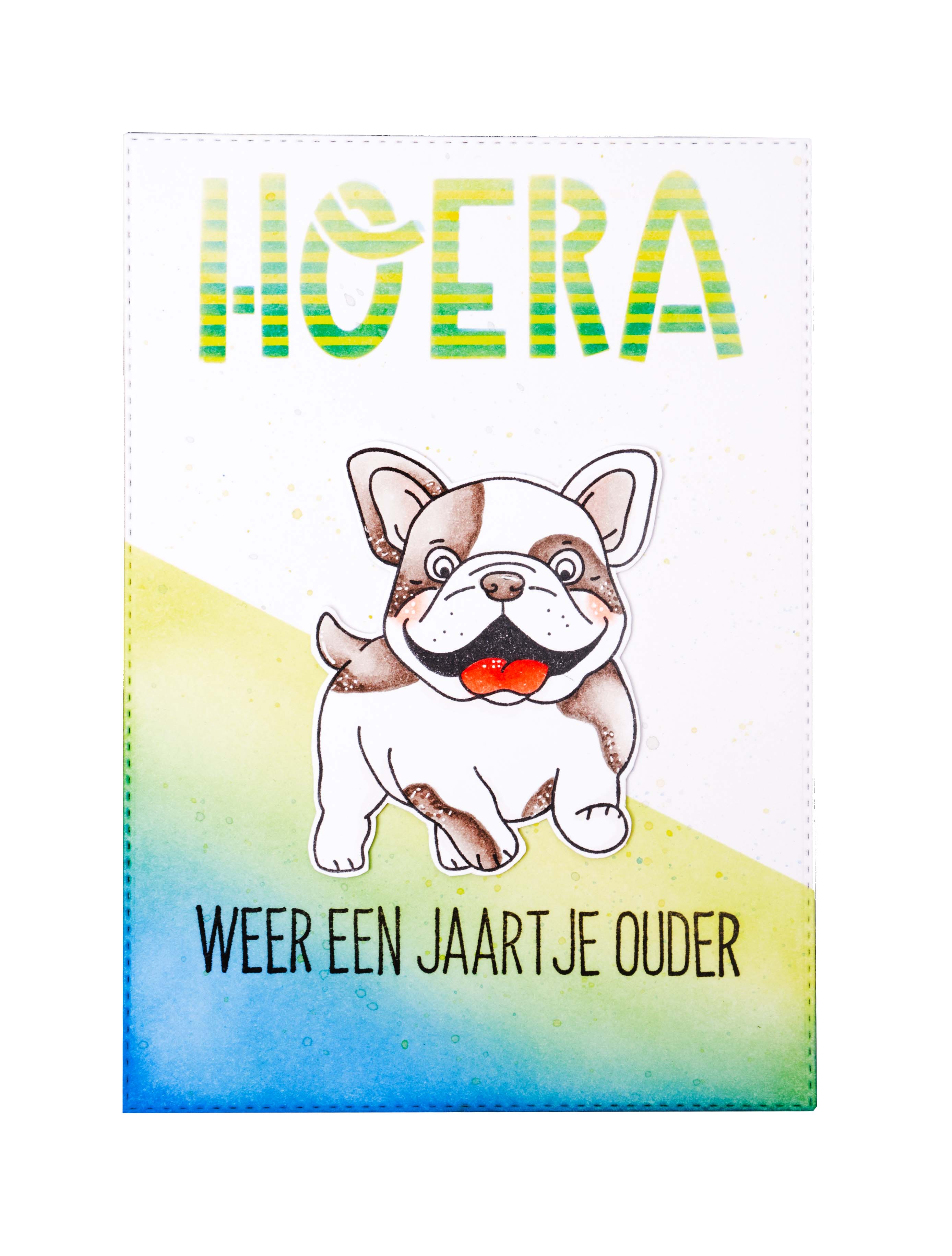 CCL Ink Pads Water-Reactive Greens Essentials 120x70x16mm 6 PC nr.22