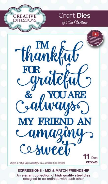 Expressions Collection Mix & Match Friendship Die