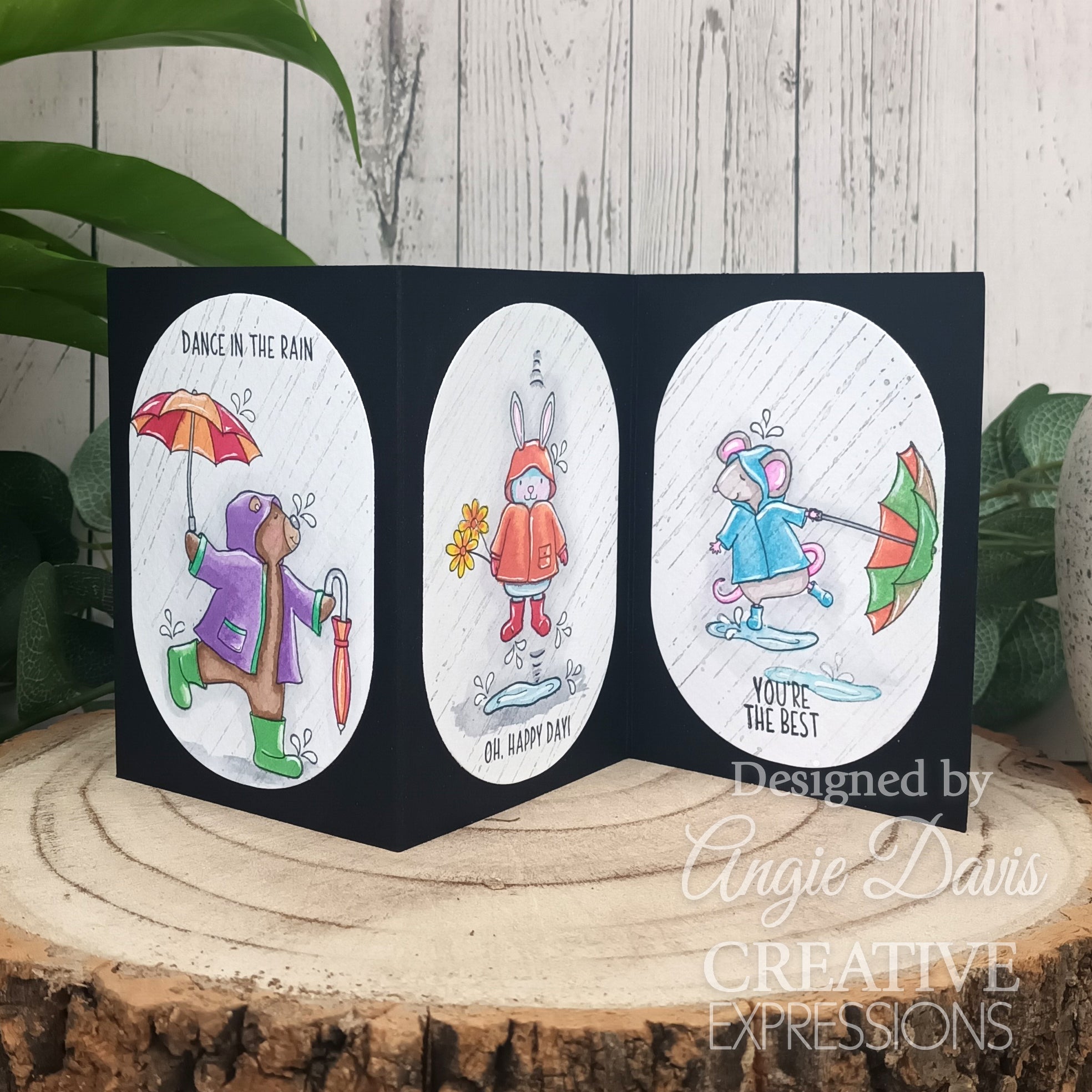 Creative Expressions Jane's Doodles Dancing In The Rain 4 in x 6 in Clear Stamp Set