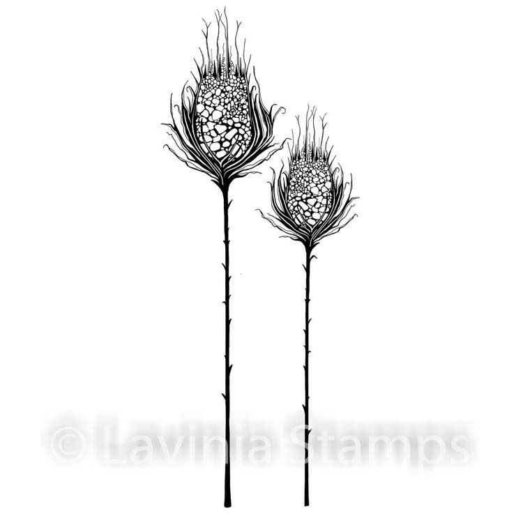 Lavinia Stamp - Starburst Set