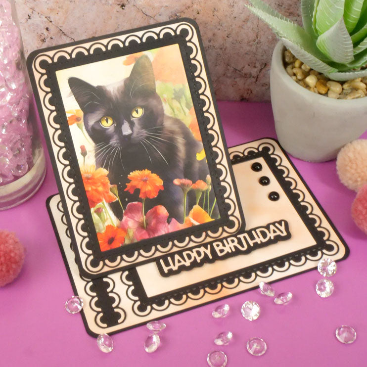 Pocket Pads - Perfect Pets