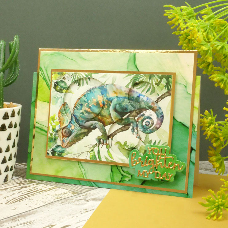 Pocket Pads - Perfect Pets