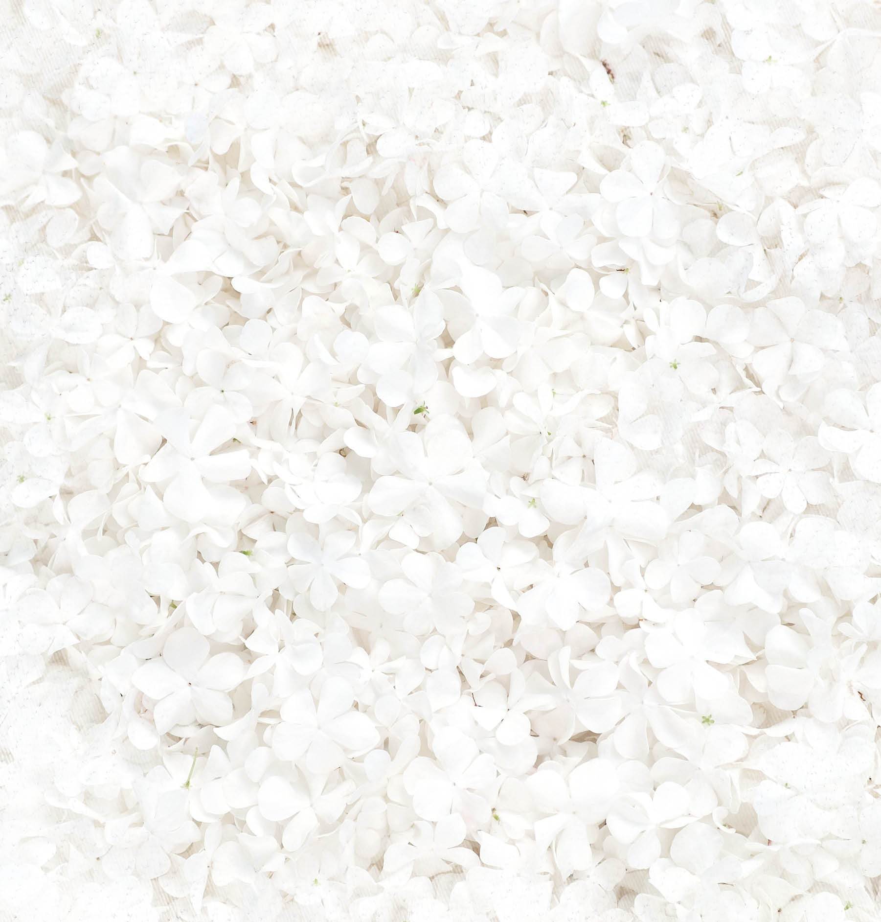 Scrap 200gr Celebrate New Beginnings 305x305mm nr.98