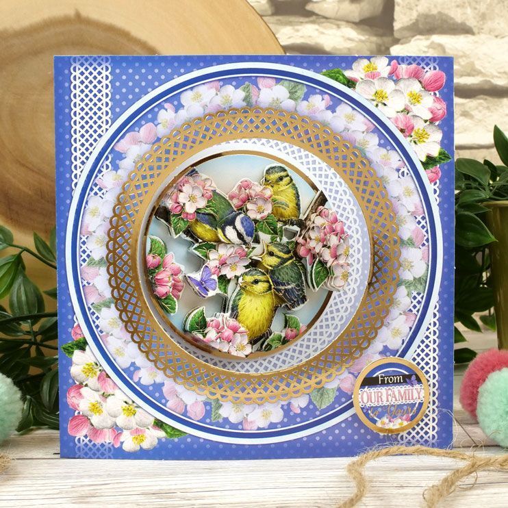 Delightful Birds - A New Season Decoupage Card Kit
