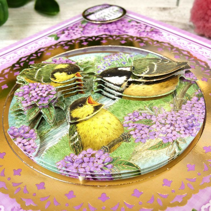 Delightful Birds - A New Season Decoupage Card Kit